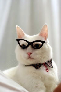 Марина Влади