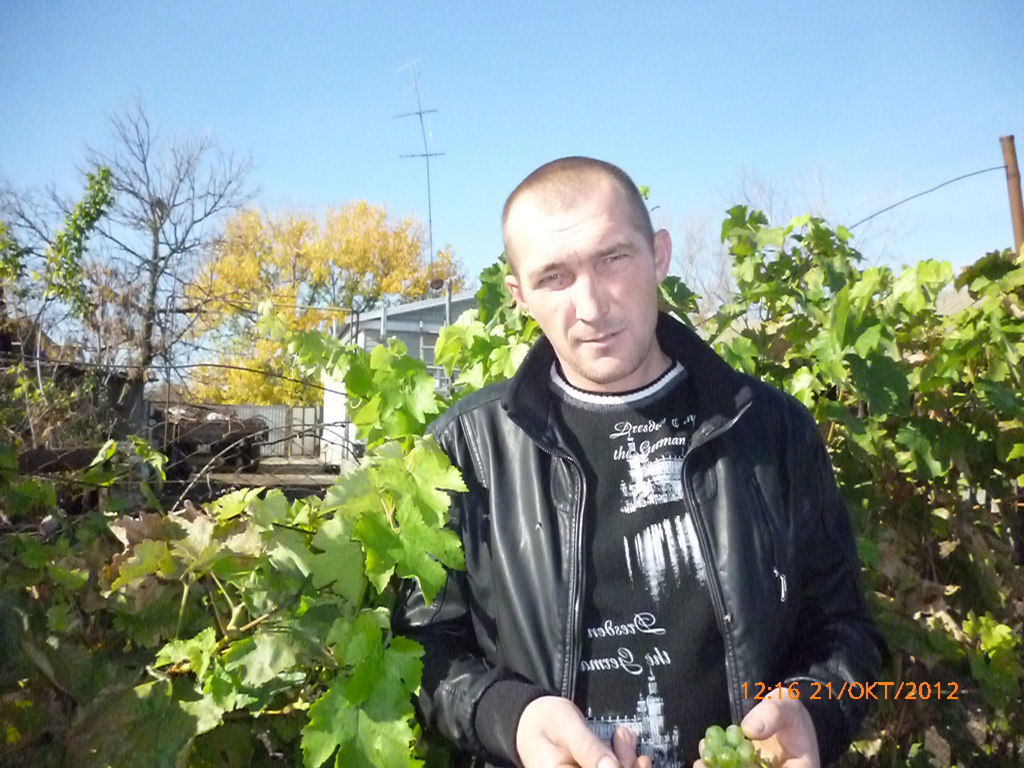 Александр Дегтярев