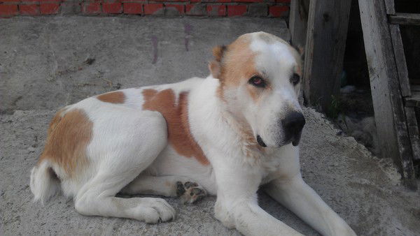 Татьяна Батяева