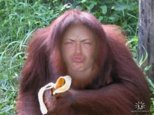 Сергей Котов