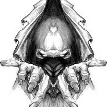 Сергей Козловский