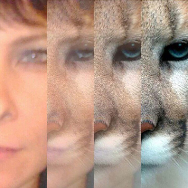 Наталья Терешенко