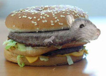 Денис Ковалев