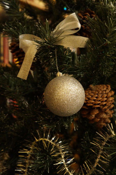 Ольга Бондаревская