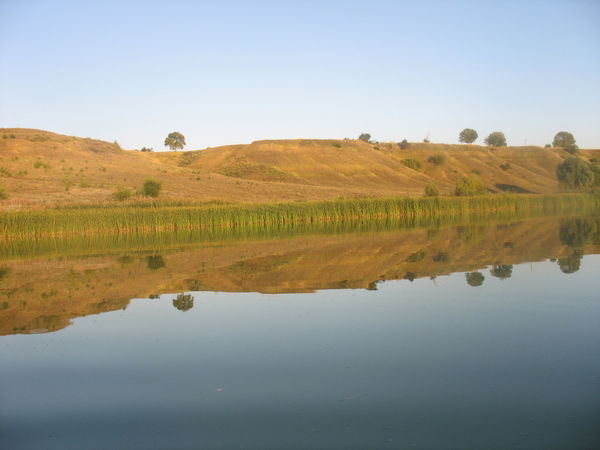 Андрей Панин