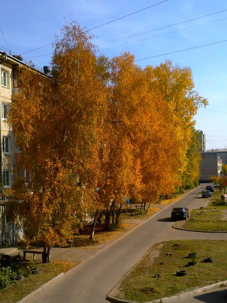 Епифанцева Марина