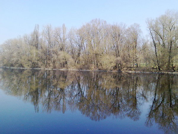 Наталичка Моя