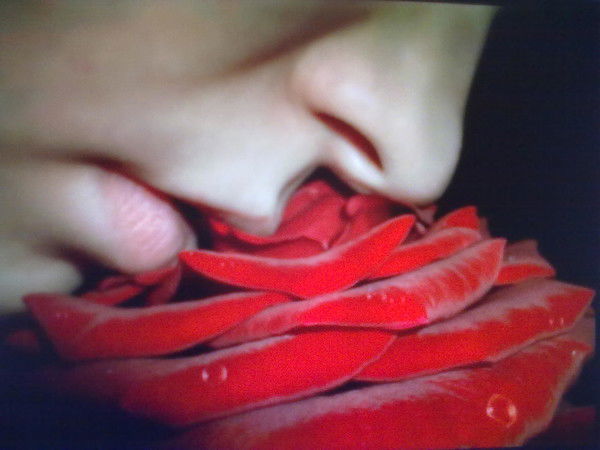 Милашка Милашка