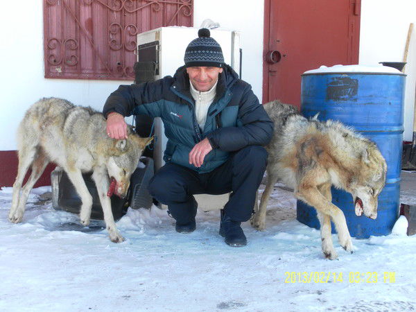 Сергей Гольченко