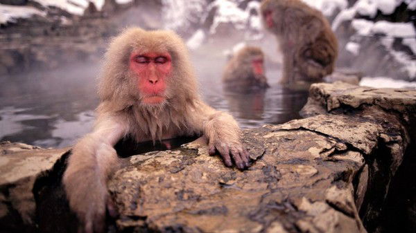 Денис Власюк