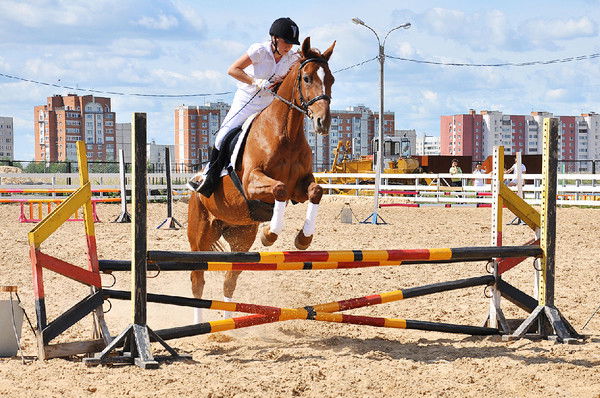 Неизвестно Неизвестно