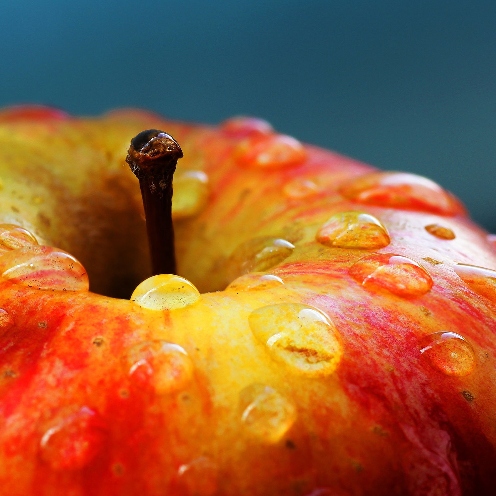 Анастасия Колова