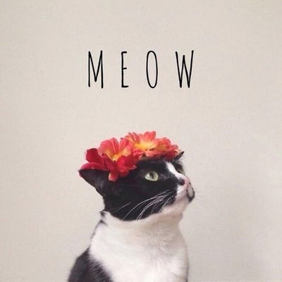 Полина Севостьянова