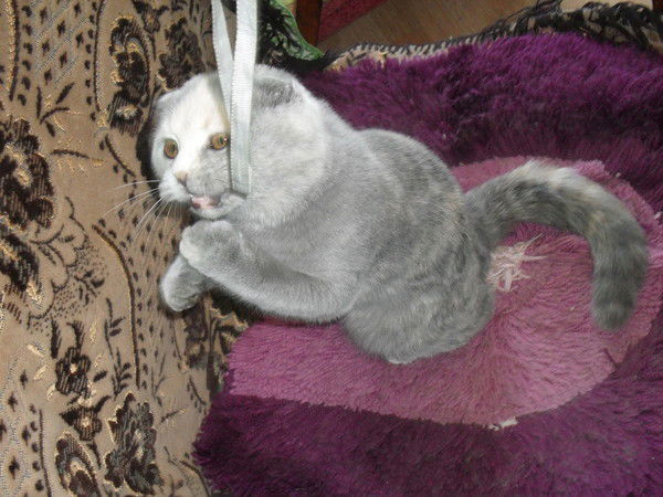 Виктория Яснова