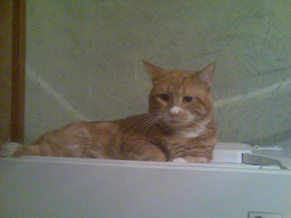 Михаил Моисеев