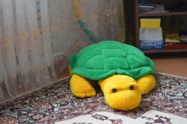 Даша Романова