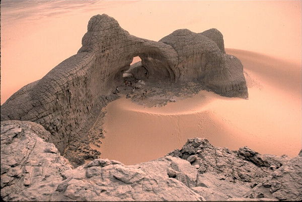 Дмитрий Квятковский