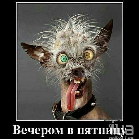 Слава Анциферов