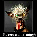 Слава Анциферов