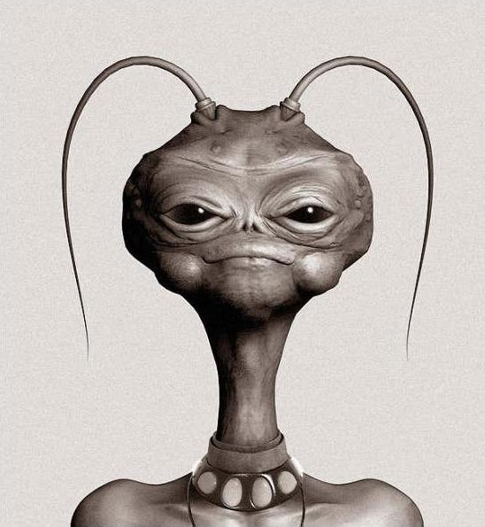 Премьер-Новый Русский