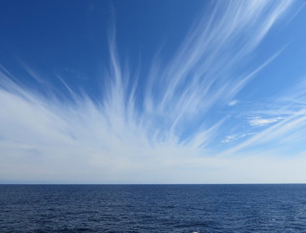 Неизвестно Неизвестно