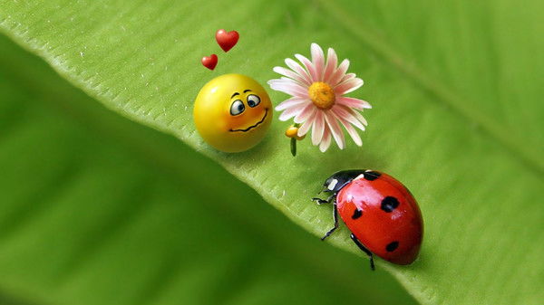 Асем Шамирова