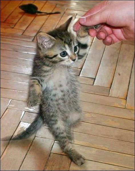 Любовь Куайдарова