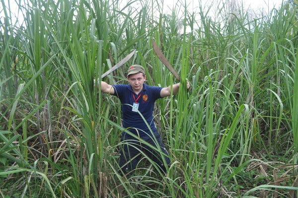 Евгений Сибилев