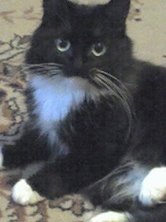 Ирина Катричко