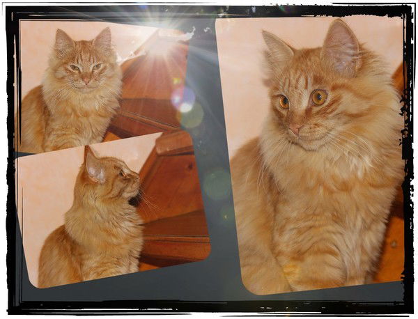 Татьяна Исайкина