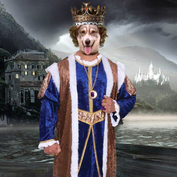 Игорь Волонтырь