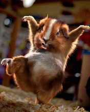 Игорь Лазунько