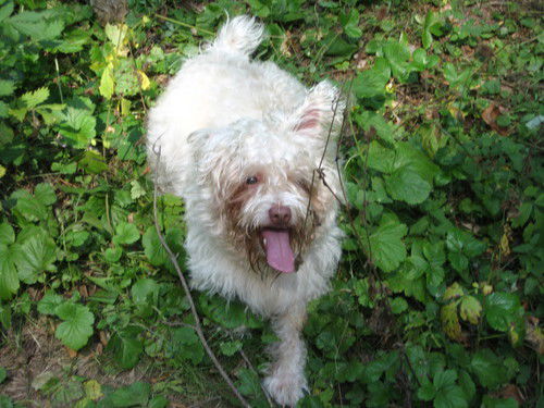 Надежда Петрова