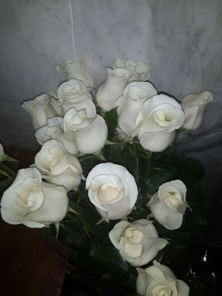 Майя Сайдилда