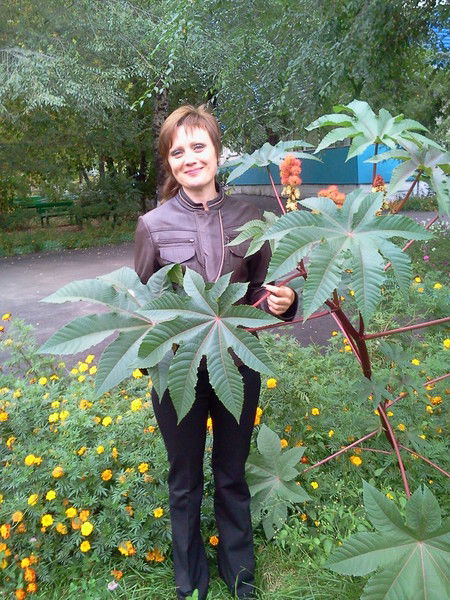 Светик Желудкова