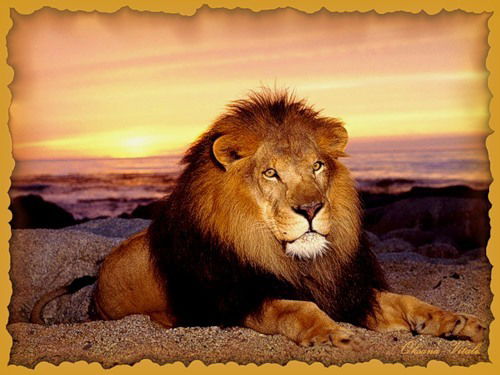 Владимир Лямзин