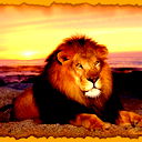 Владимир Лямзин