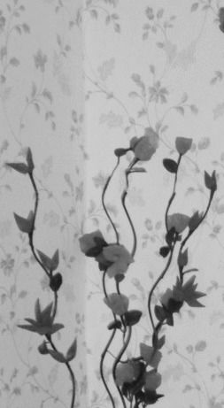 Оксана Коняхина