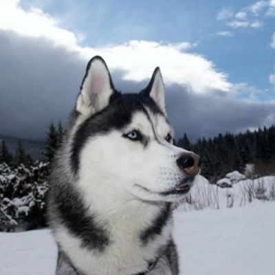 Георгий Югов