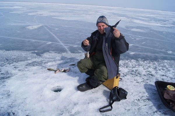 Альберт Пейль