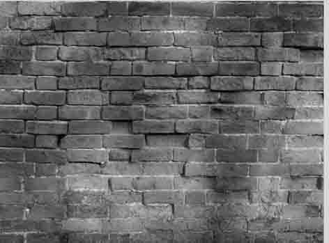 Елена Бережная