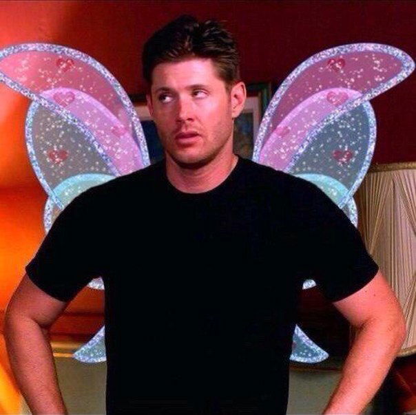 Анастасия Морозова