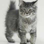 Камиля Зайнетдинова