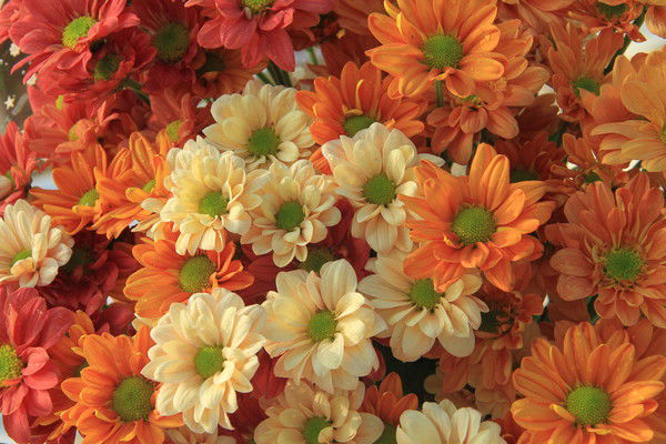 Валентина Большакова