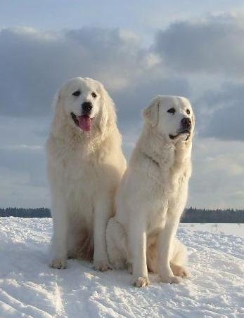 Светлана Савицкая