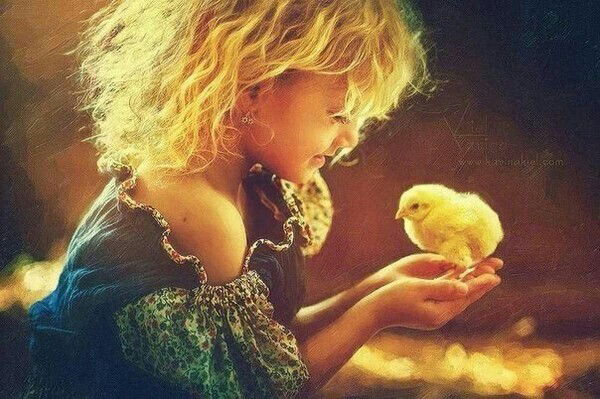 Ролан Кабашов