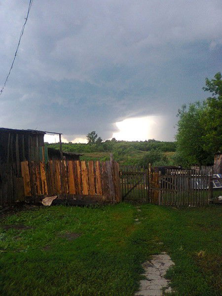 Полина Соколкина