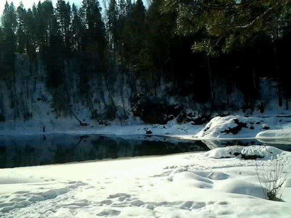 Маргарита ---