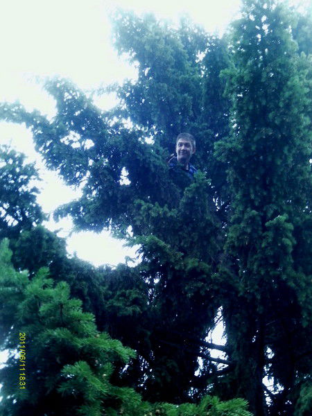 Вячеслав Алексеев