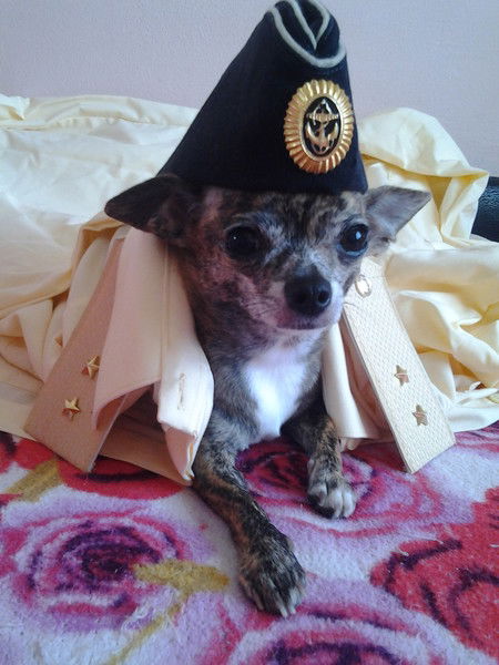 Мария Бакланова